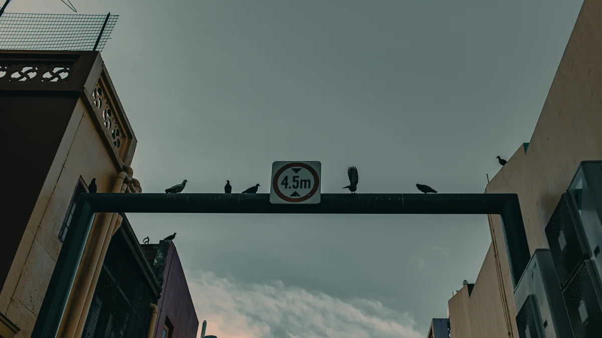 Urban street with height restriction sign and perched pigeons on metal beam