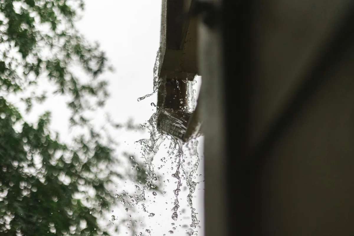 Water streaming down window glass with foliage visible in background