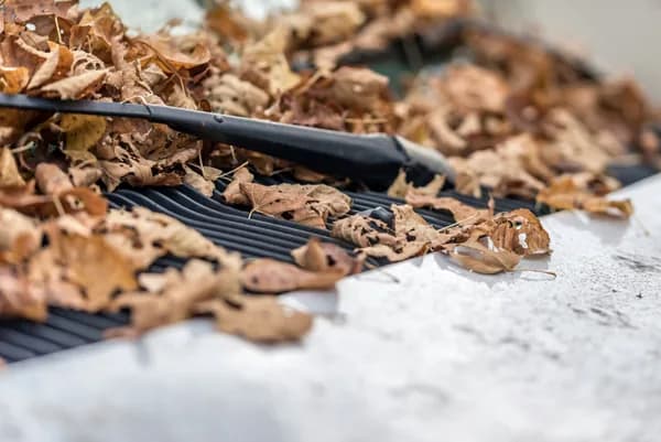Black gutter filled with dried leaves and debris requiring cleaning