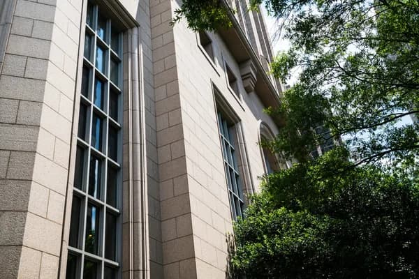 Modern stone building facade with tall windows and climbing ivy vines