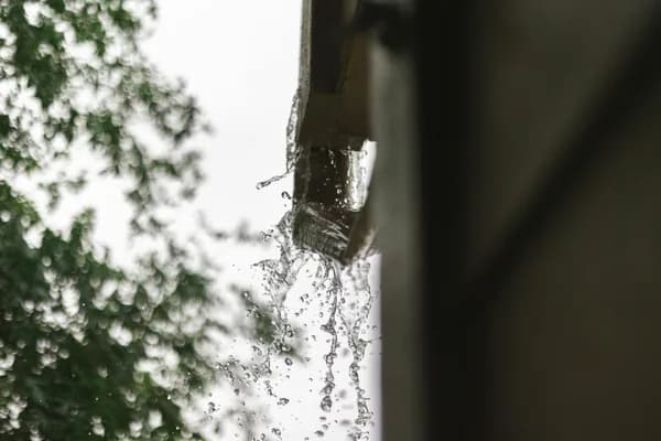 Water streaming down window glass with foliage visible in background