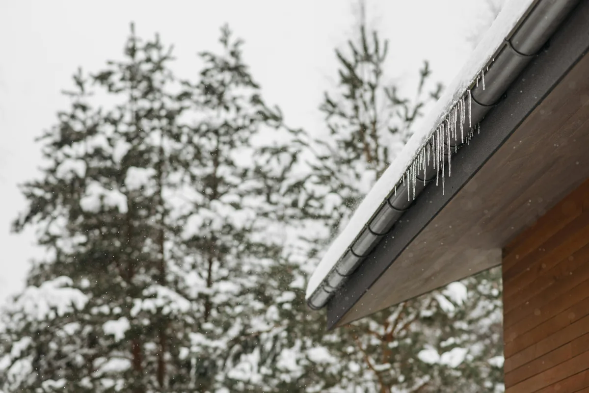 Icicles hanging from roof edge with snow-covered evergreen trees in background