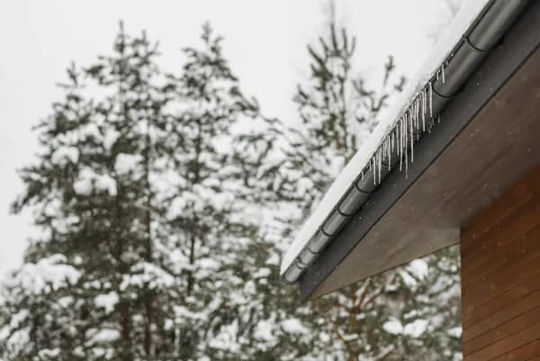 Icicles hanging from roof edge with snow-covered evergreen trees in background