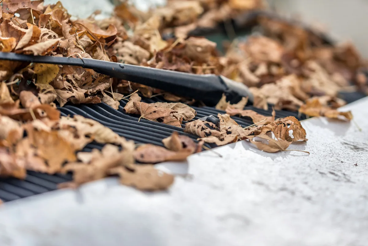 Black gutter filled with dried leaves and debris requiring cleaning