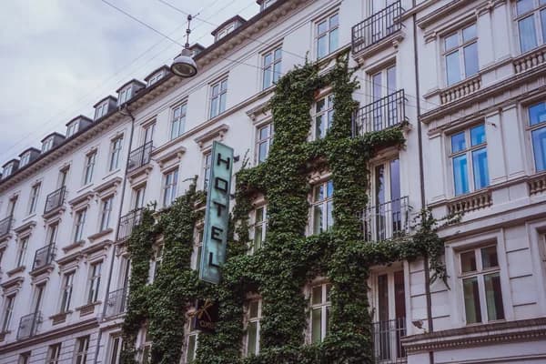 Elegant historic building facade covered in climbing ivy with windows