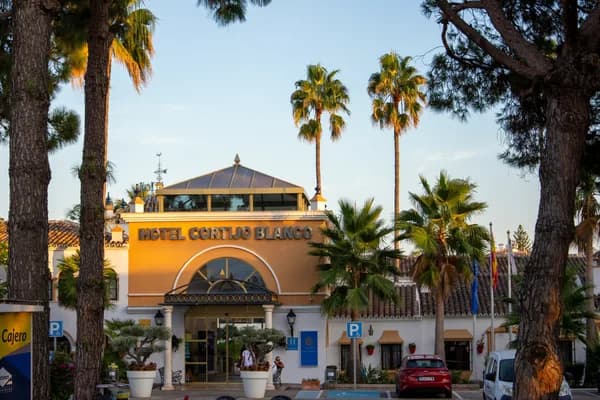 Ornate white and gold hotel building exterior with palm trees and entrance