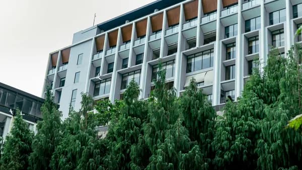 Modern residential building facade with large windows and surrounding evergreen trees