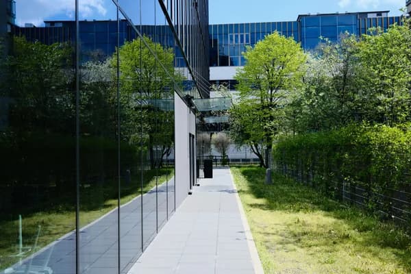 Modern courtyard pathway between glass-walled buildings with green trees