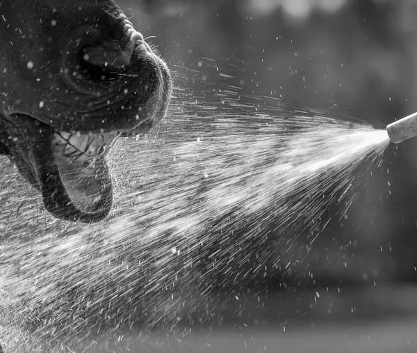 Close-up of high-pressure water spray cleaning wooden surface outdoors