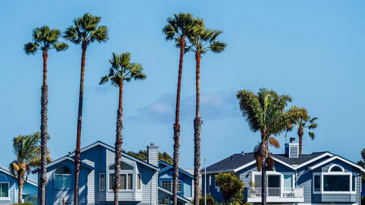Residential homes with palm trees and clear windows under blue sky