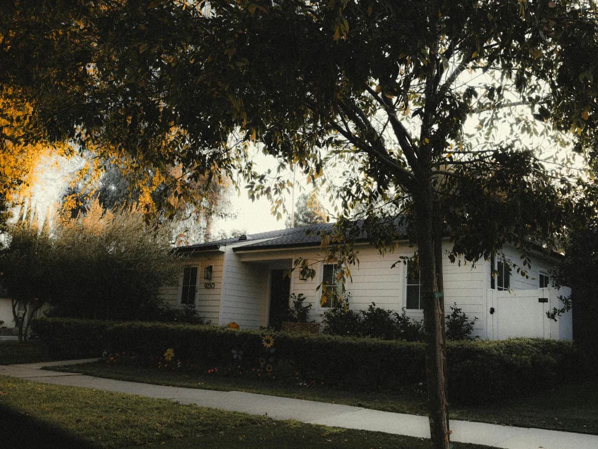 White residential home with large tree in front yard and landscaping