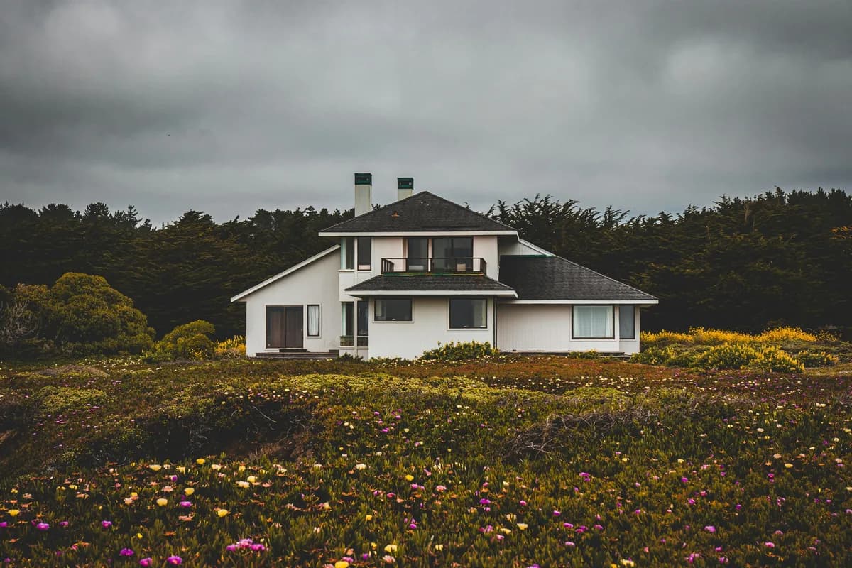 Modern white residential house surrounded by colorful wildflower meadow and trees