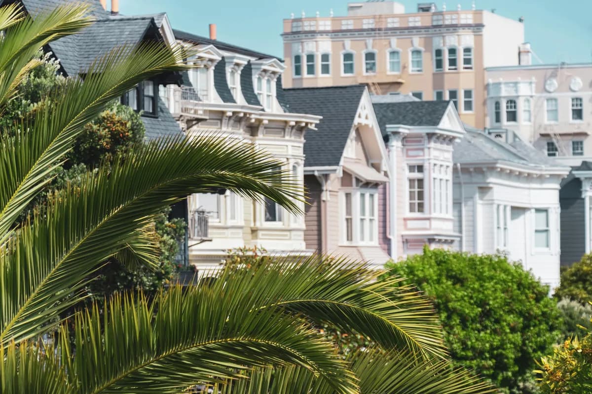 Victorian residential buildings with palm trees and clear sky, no cleaning activity visible