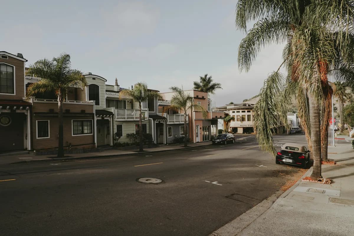 Historic downtown street with multi-story buildings and palm trees