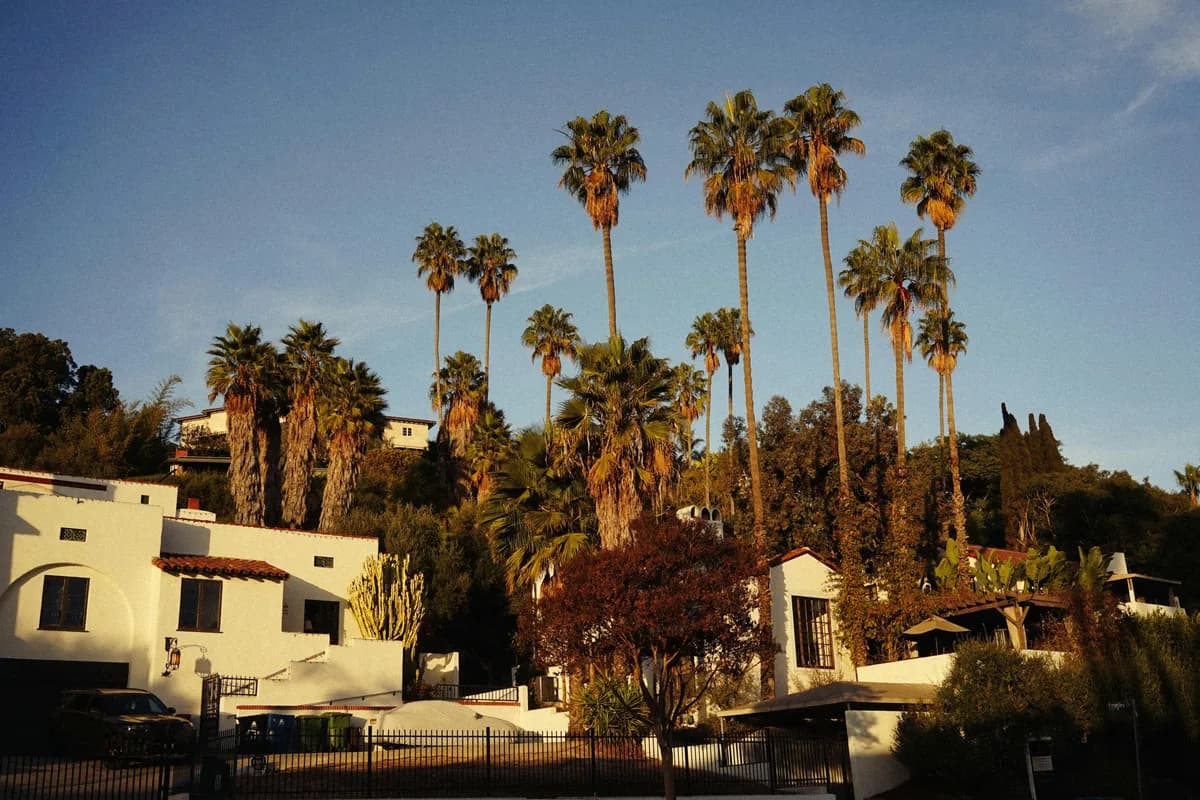 Mediterranean-style white residential buildings with tall palm trees and vegetation