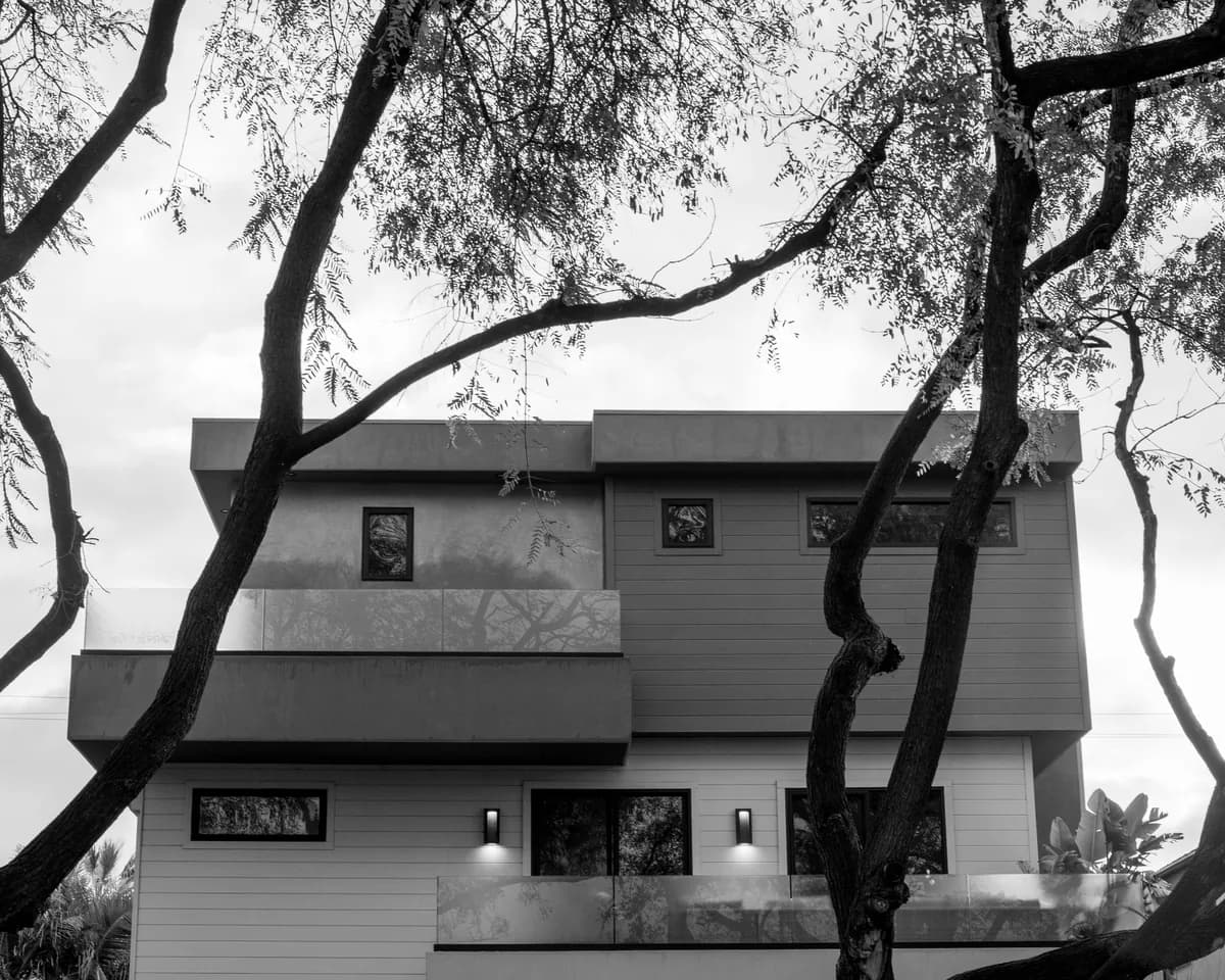 Modern house exterior with large windows framed by dark tree branches overhead