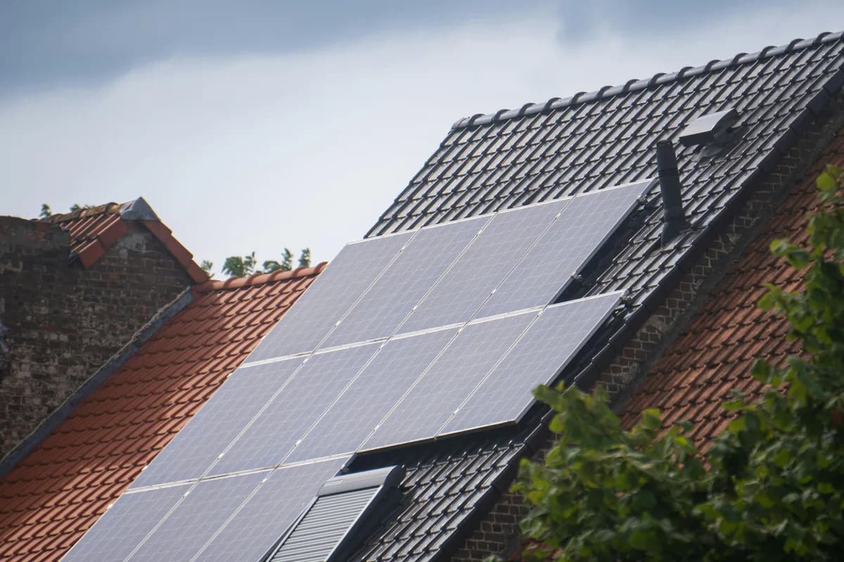 Solar panels installed on residential brick building rooftops with ivy growth