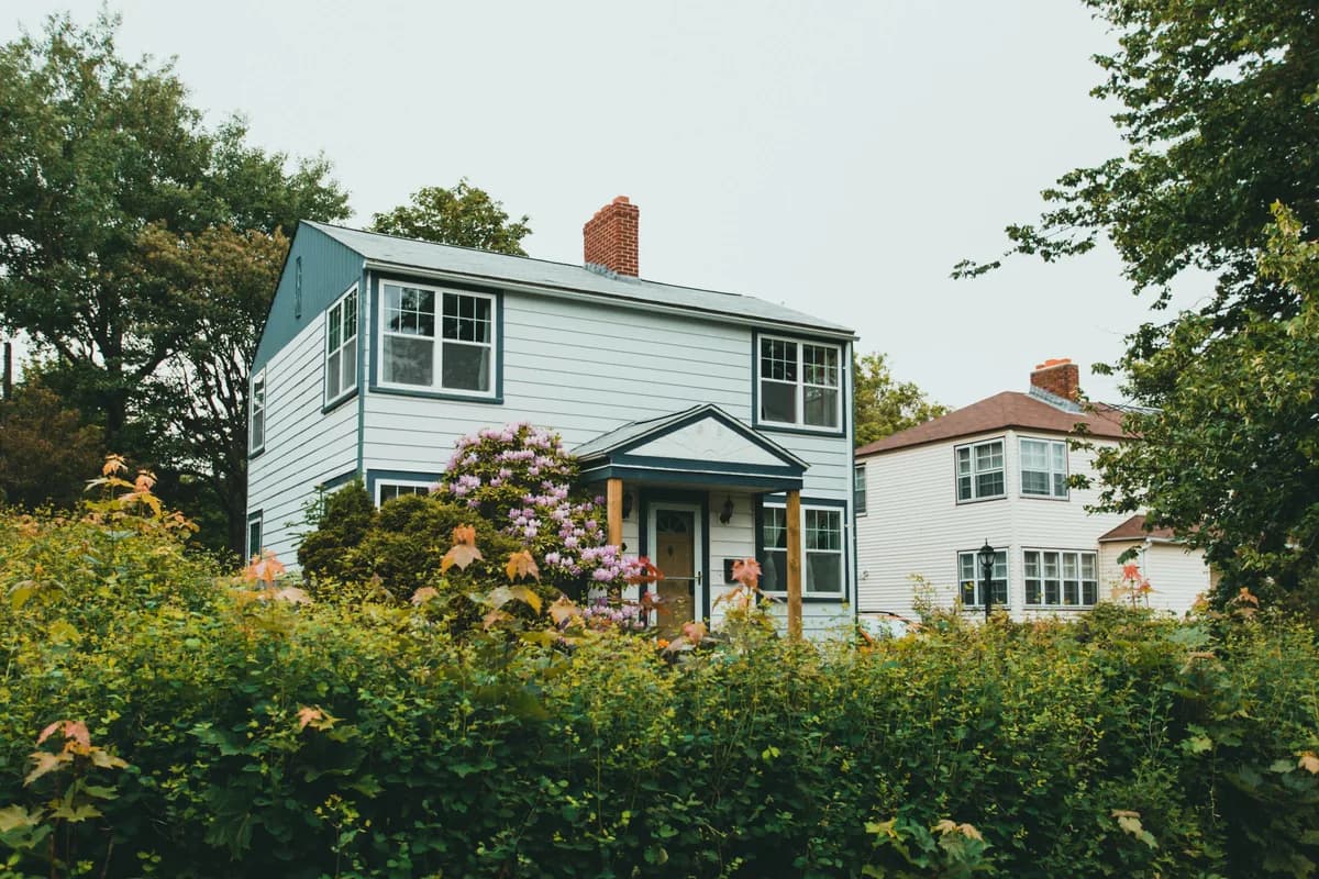 Two-story white house with purple flowering shrub and overgrown garden landscaping